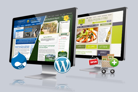 web development dubai
